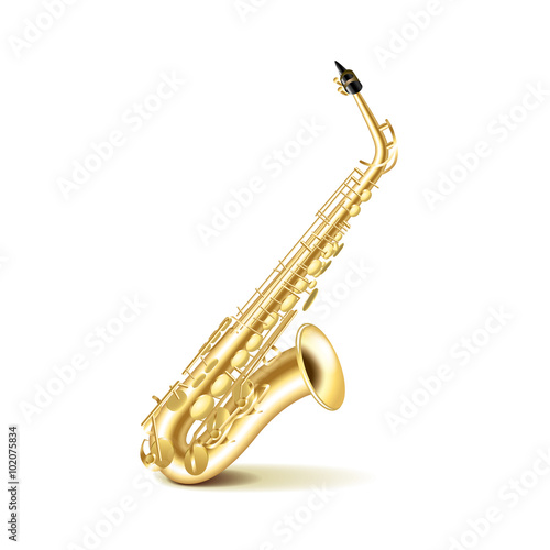 Saxophone isolated on white vector