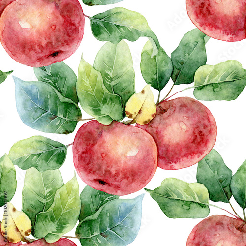 Seamless pattern  with apples
