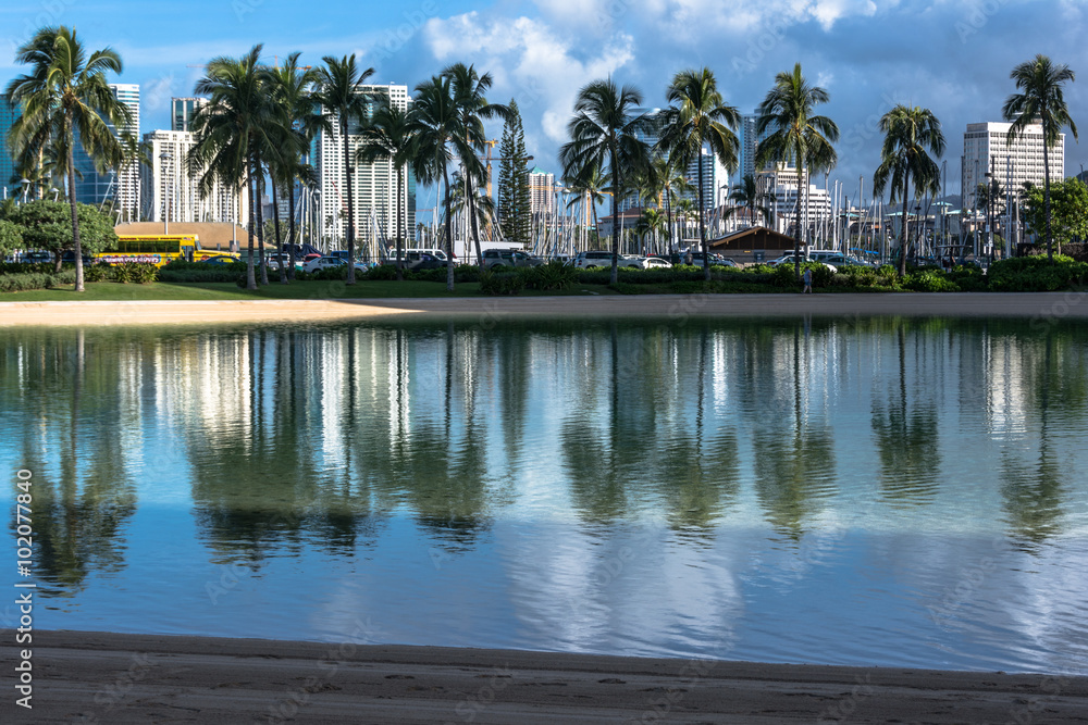 Palm trees reflection in the lagoon in Waikiki, Hawaii