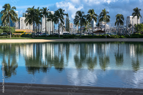 Palm trees reflection in the lagoon in Waikiki, Hawaii