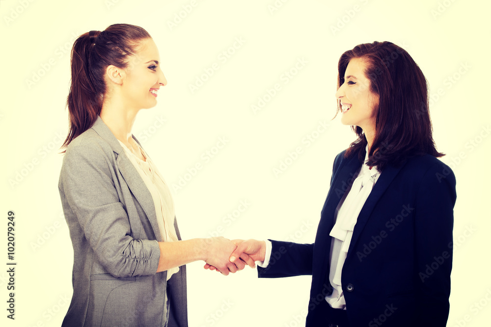 Two women in office outfits giving handshake. Two women in office outfits giving handshake.