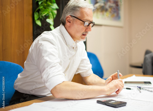 Mature businessman at work in his office