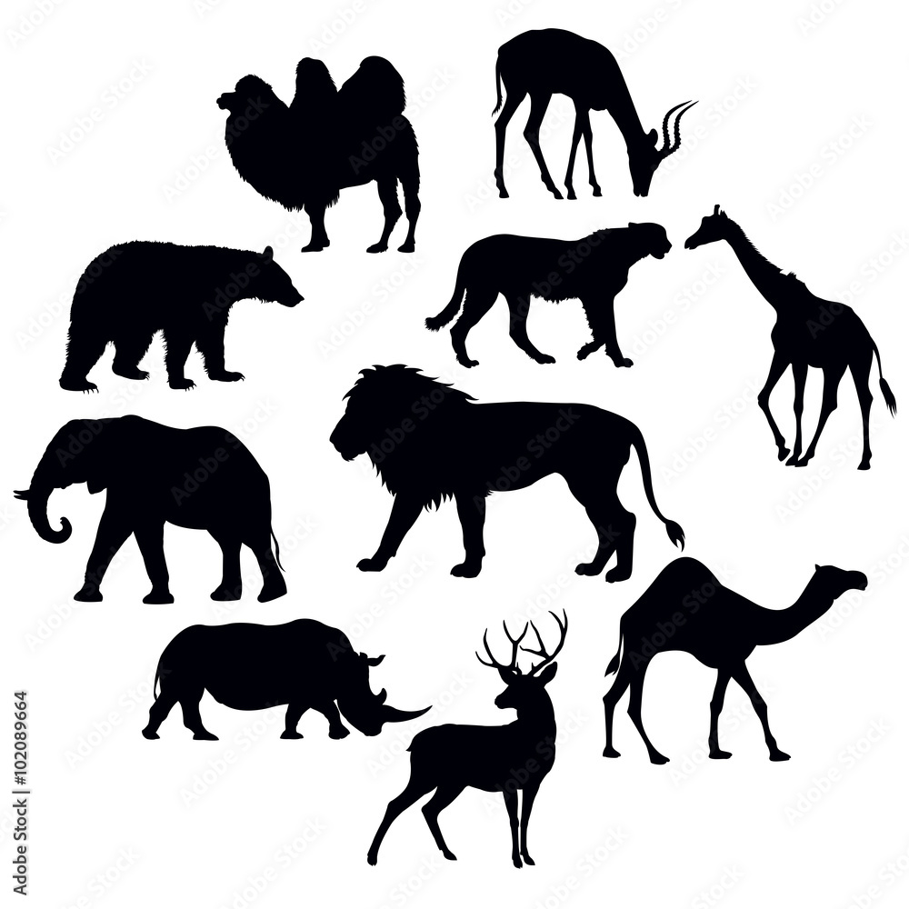 animal silhouettes