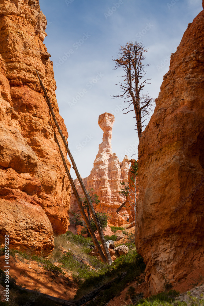 Views of the hiking trails in Bryce Canyon National Park, Utah