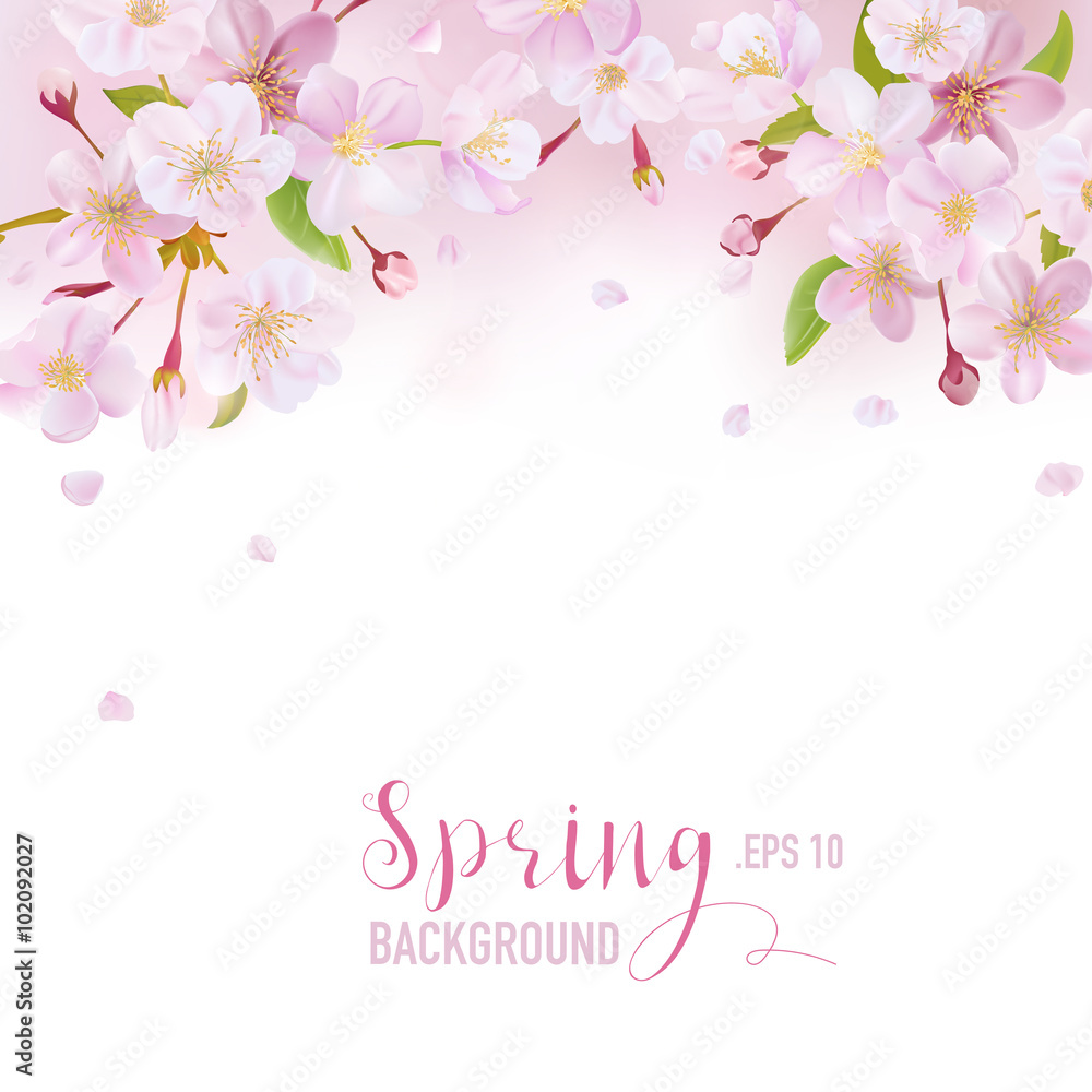 Cherry Blossom Spring Background - with place for your Text
