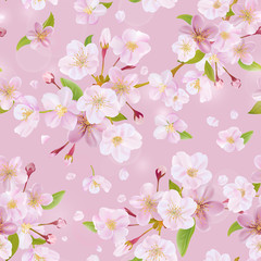 Cherry Blossom Spring Background - Seamless Pattern - in vector