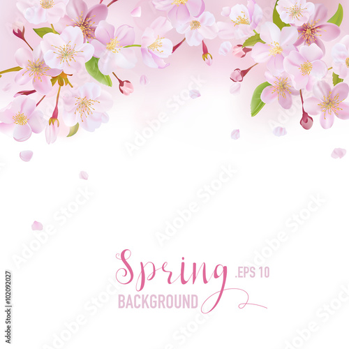 Cherry Blossom Spring Background - with place for your Text