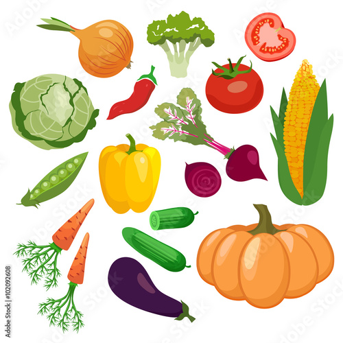 Vegetables icons set with tomato  maize  cabbage isolated on white background. Vector illustration