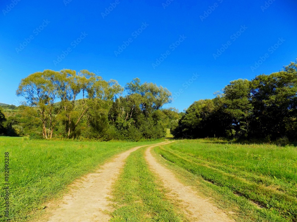 Road on meadow