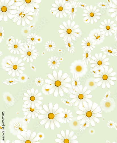 Seamless white chamomile flower texture. Isolated daisy vector floral pattern on green background for wrapping