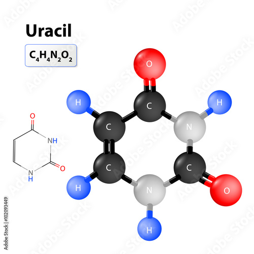 Uracile molecular structure