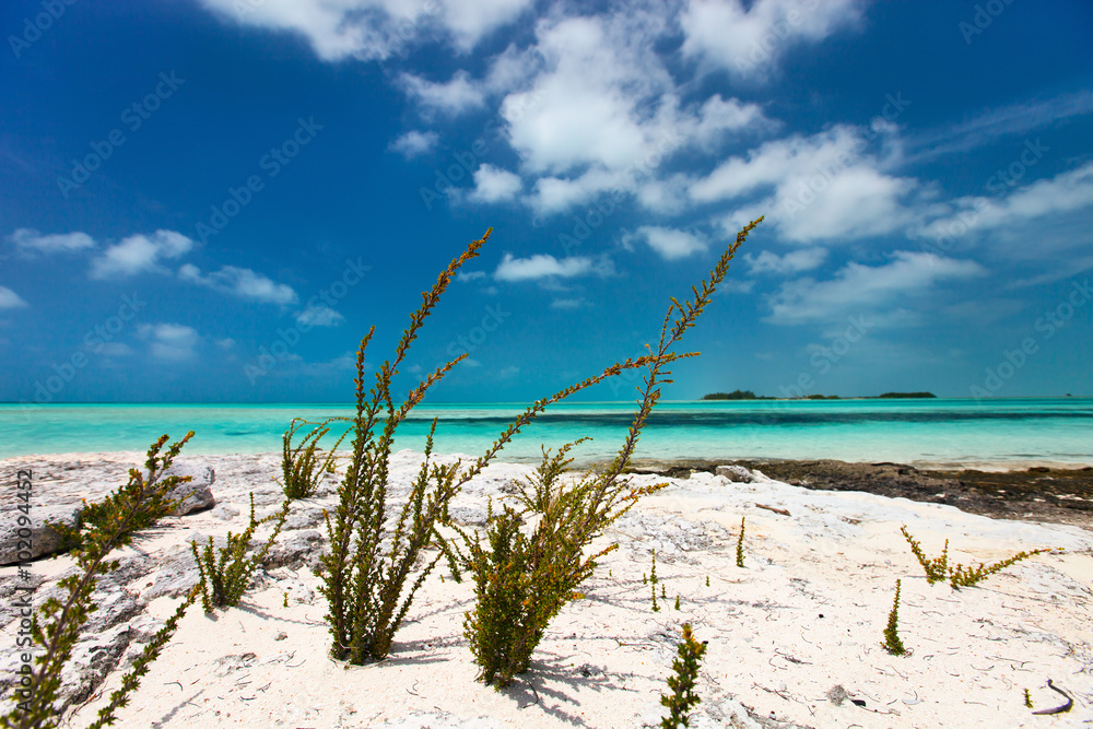 Caribbean beach and sea