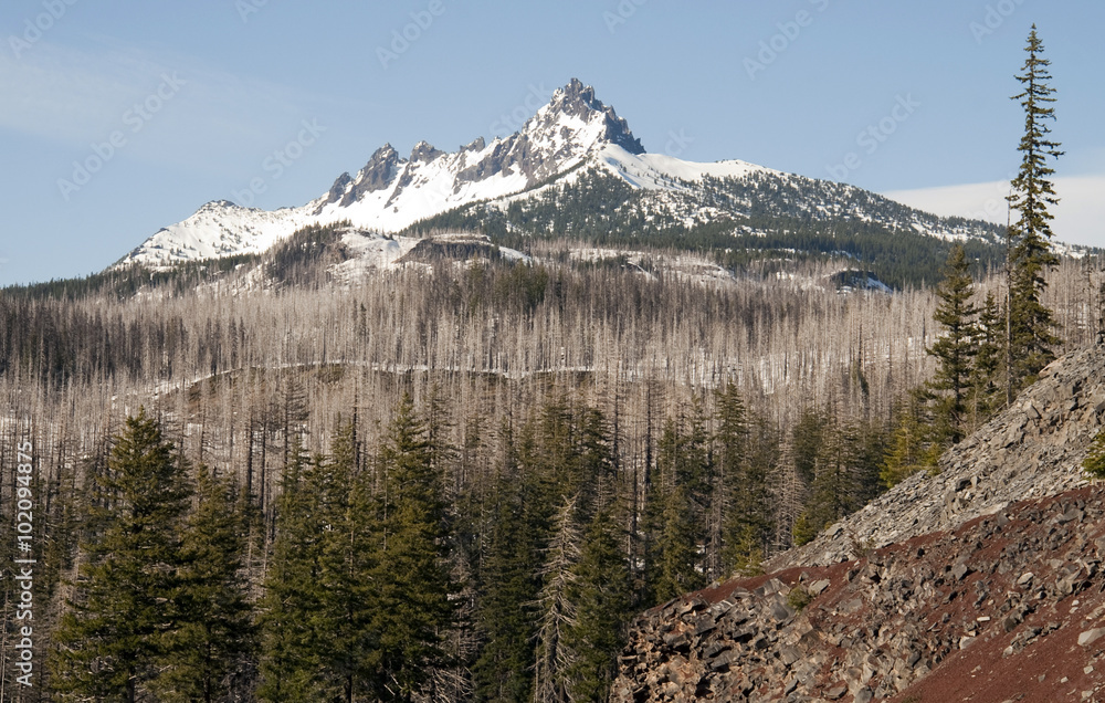 Three Fingered Jack Cascade Range Oregon State USA Three Fingered Jack Cascade Range Oregon State USA