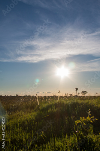 Sun above African Savannah, Okavango Delta in Botswana.