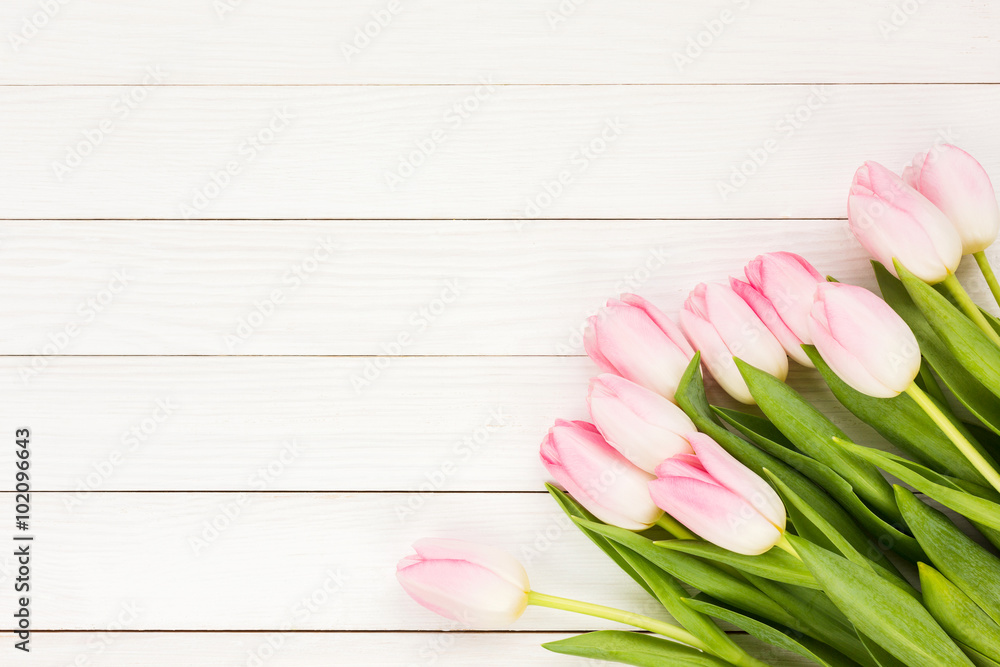 Bouquet of pink tulips on white wooden background. Top view, copy space Bouquet of pink tulips on white wooden background. Top view, copy space