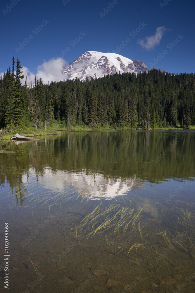 Mt. Rainier and Reflection Lake
