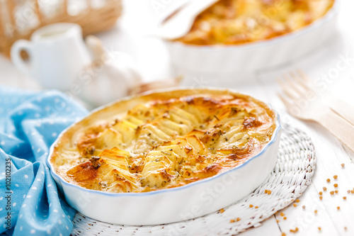 potato gratin photo