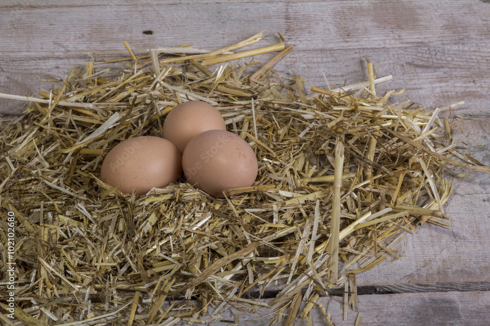 village egg natural village egg natural