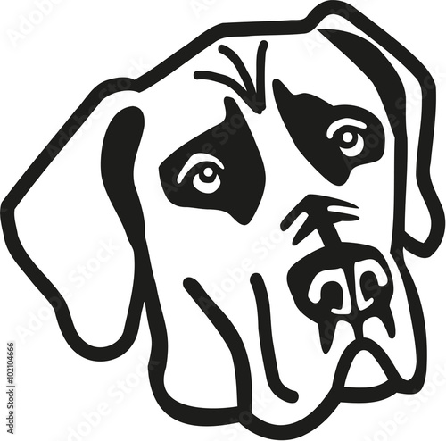 Great dane head