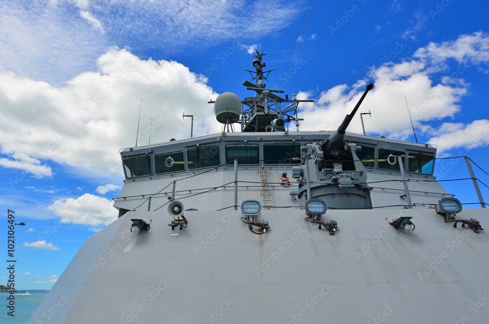 Obraz premium HMNZS Wellington (P55)