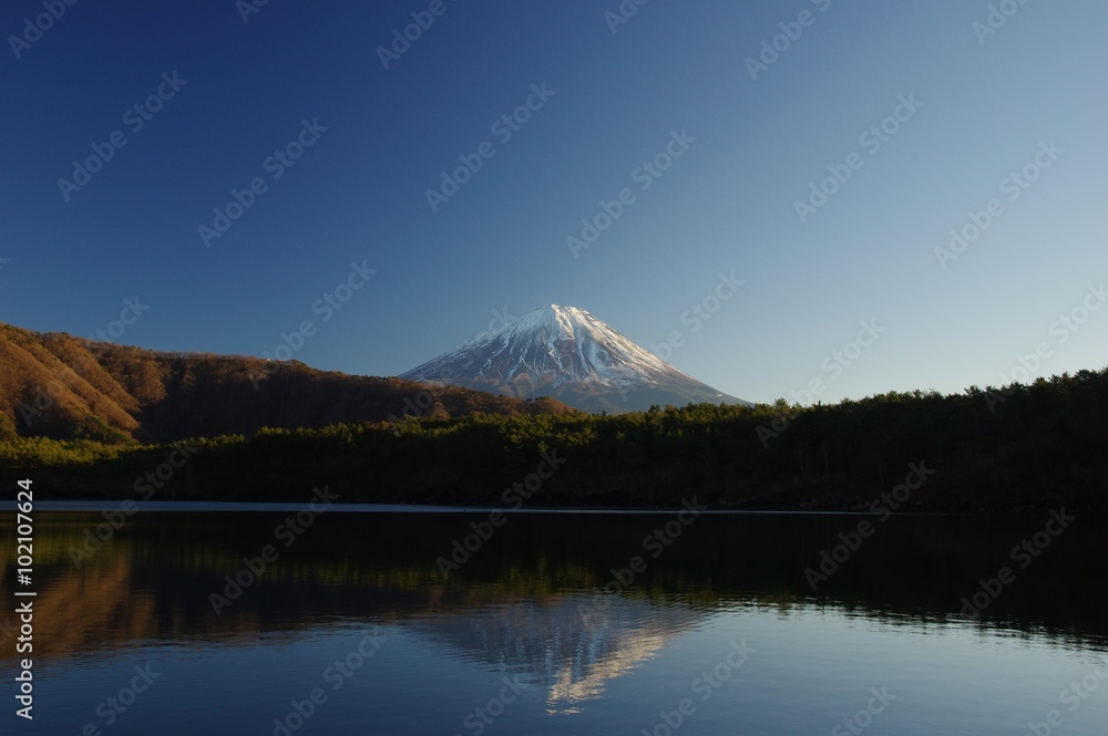 Fototapeta premium Mount Fuji and Lake Saiko, a moment to relax in the afternoon