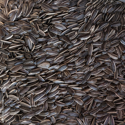 Fotografie Sunflower seeds close up