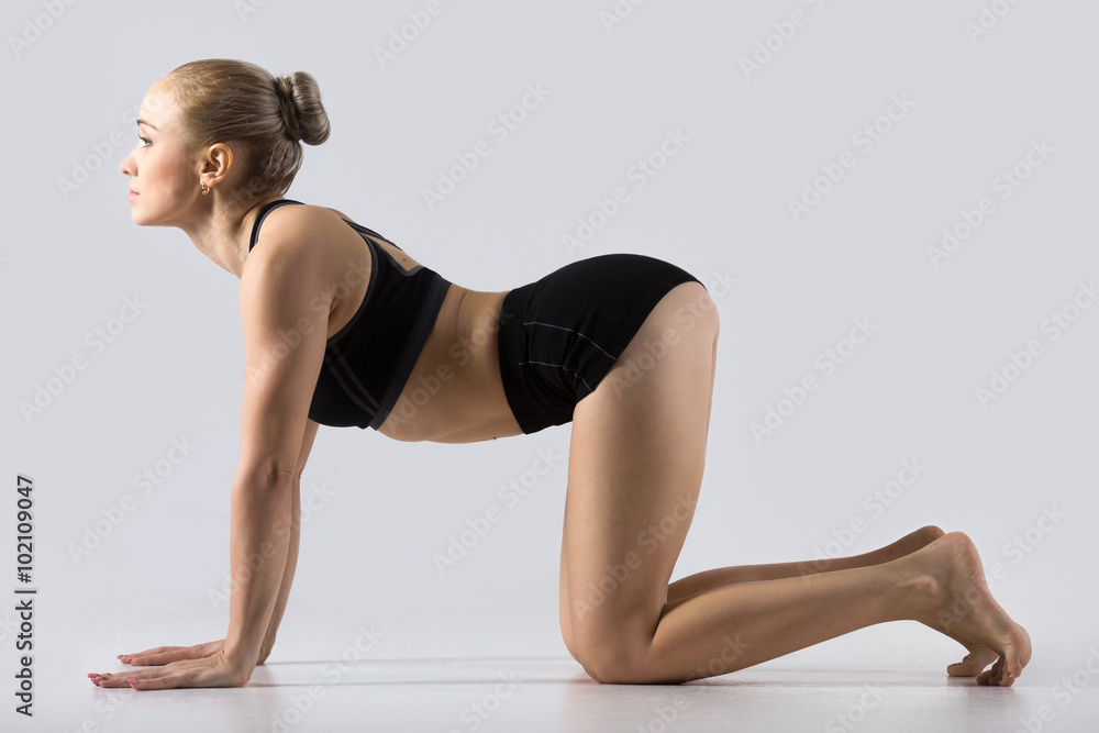 Obraz premium Bitilasana yoga Pose