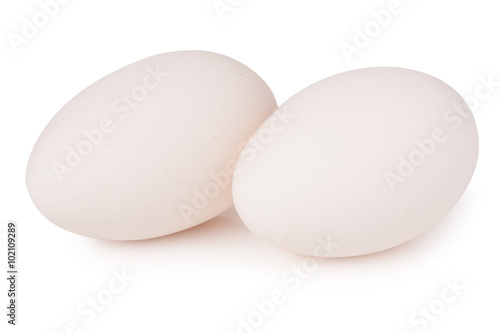 Two big goose eggs .Isolated on white background