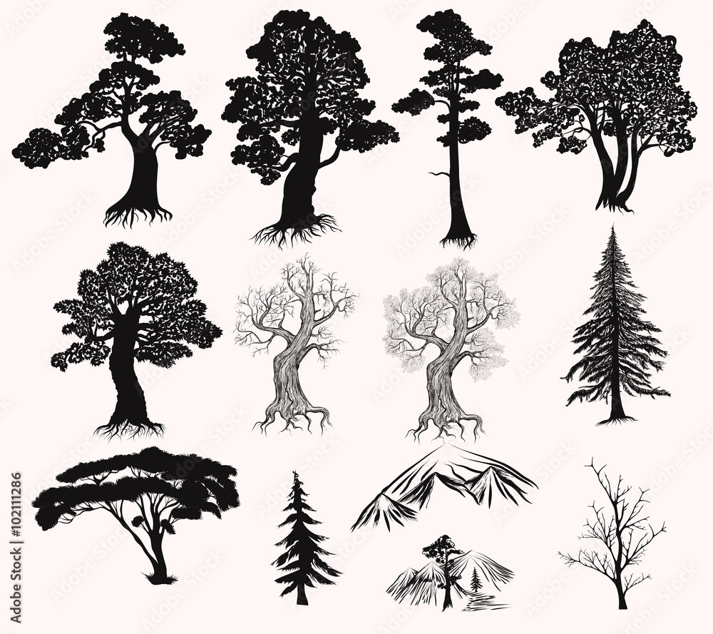 Vector set of hand drawn trees silhouettes for design Stock Vector ...