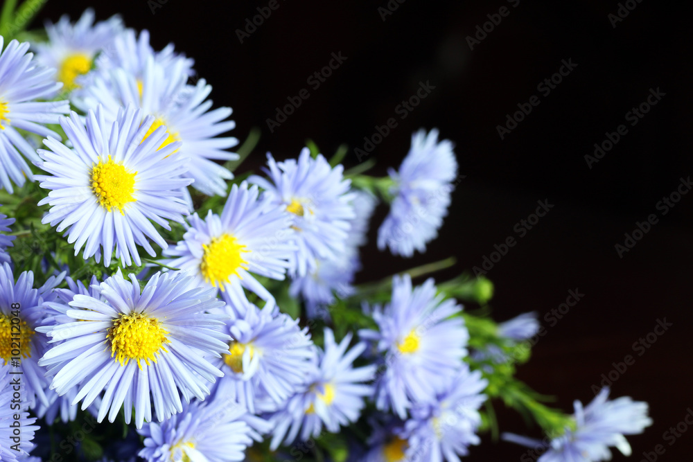 Obraz premium wild flowers bouquet rings