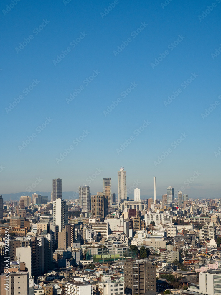 Obraz premium 池袋の高層ビル