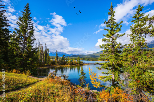 Bilde på lerret Pyramid Lake among the tall pines and firs