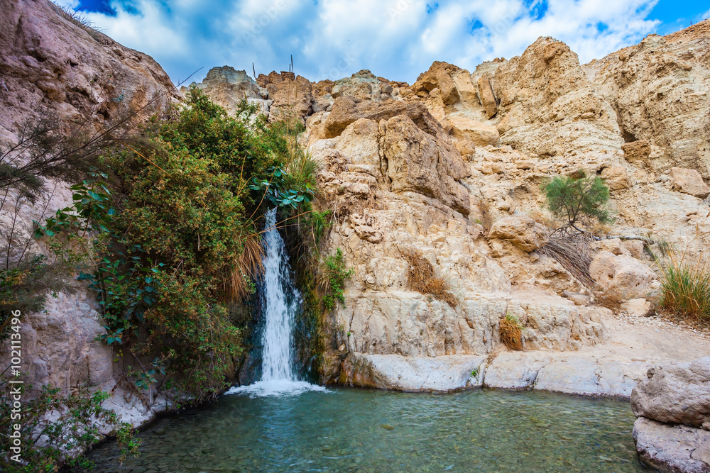 Fototapeta premium The falls among stones