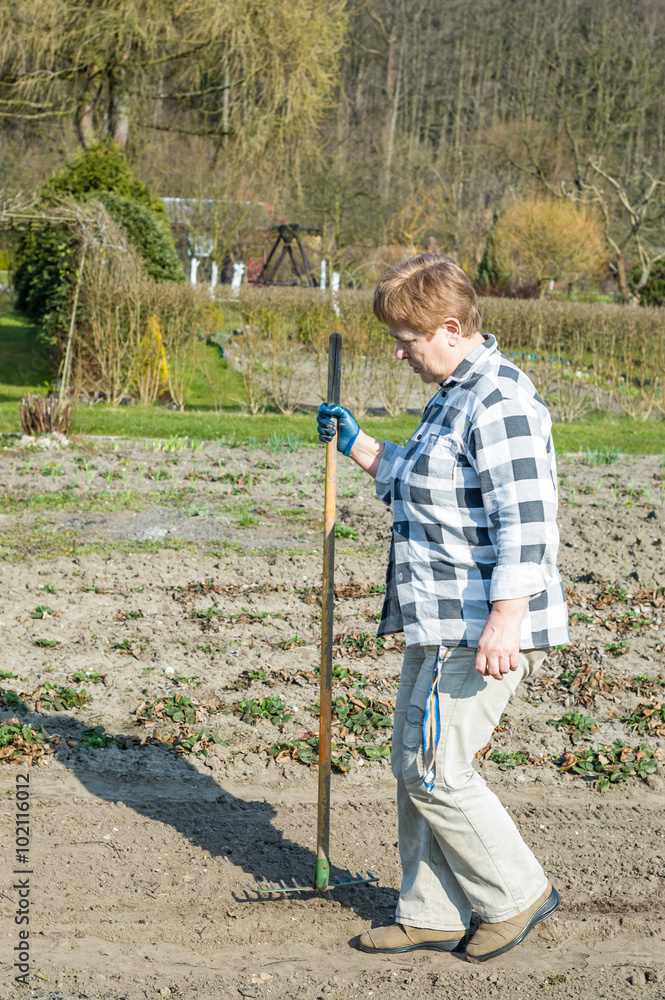 Woman working with rakes in the garden, spring cleaning and sowing - obrazy, fototapety, plakaty 