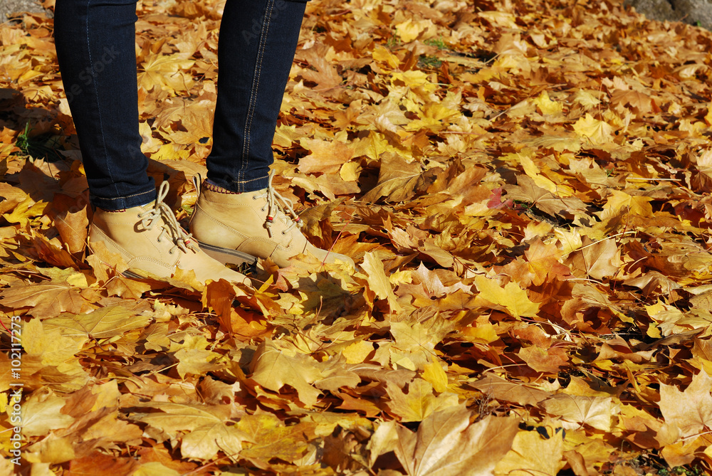 girl standing in bright fallen leaves girl standing in bright fallen leaves