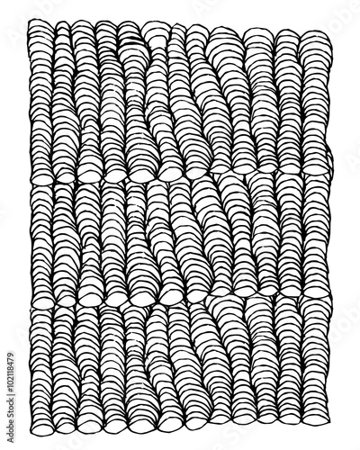 Zentangle ornament, sketch for your design
