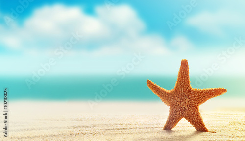 Summer beach. Starfish on a sandy beach.