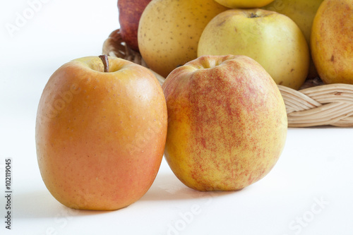 Différentes variétés de pommes dans une corbeille sur fond blanc