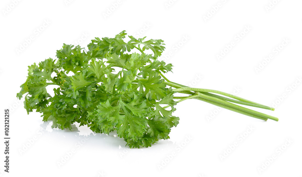parsley isolated on a white background parsley isolated on a white background