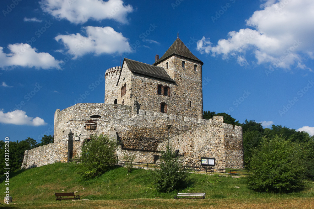 Ruins of the medieval castle of Bedzin, Poland