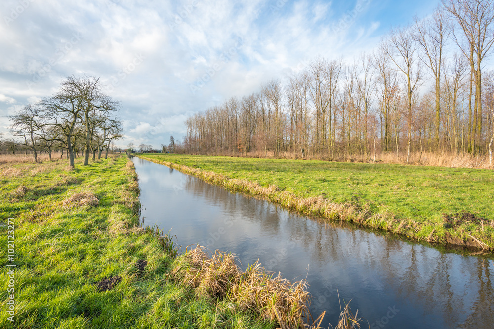 Rural landscape with bare trees and a small stream