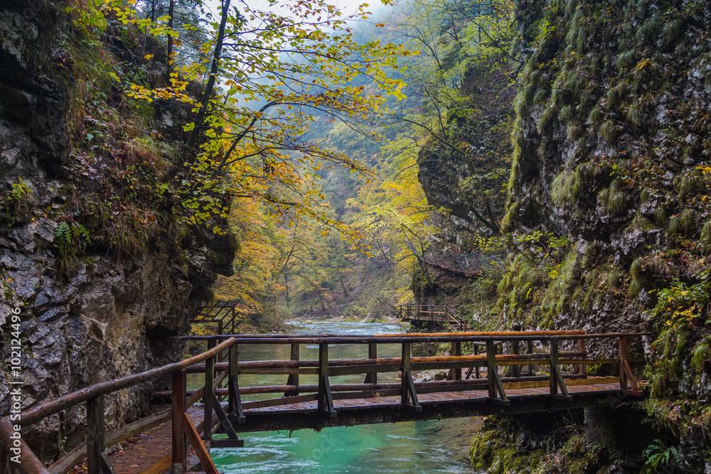 Wooden trail across Radovna river, which flows in Vintgar Gorge, Bled, Slovenia. Wooden trail across Radovna river, which flows in Vintgar Gorge, Bled, Slovenia.