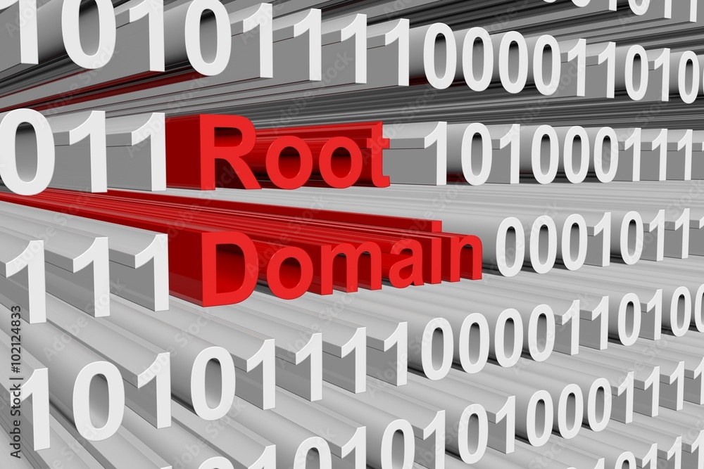 root domain is represented as a binary code
