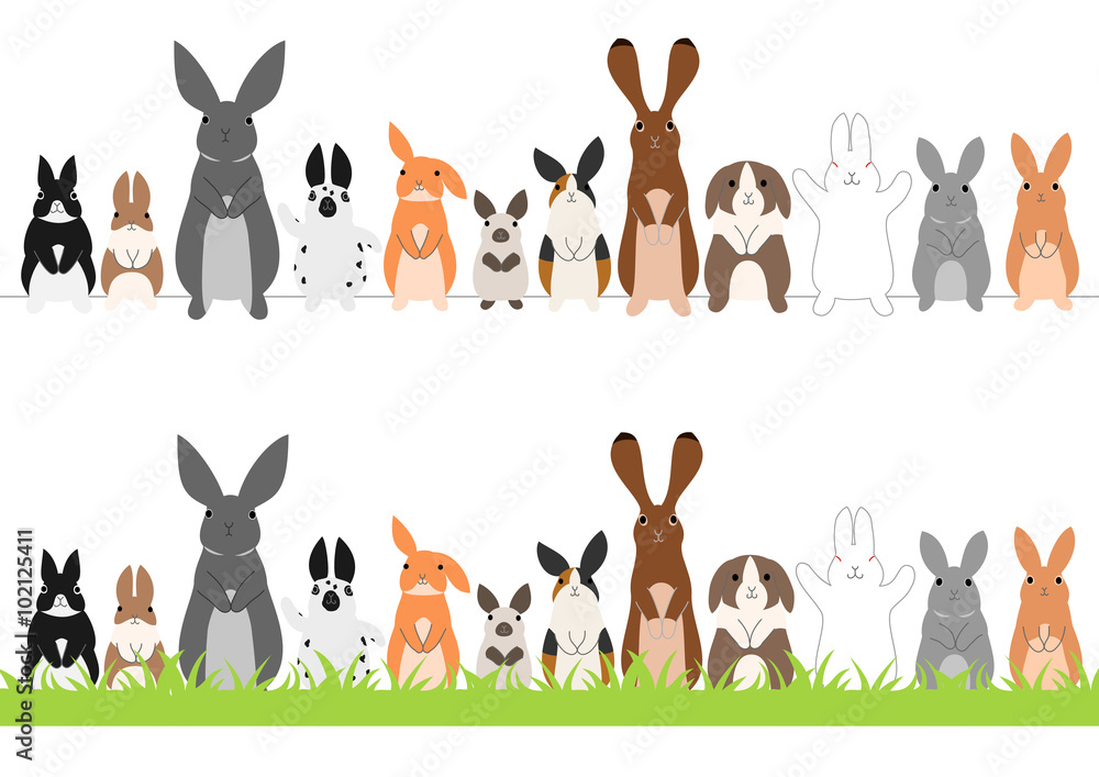 Fototapeta premium set of standing rabbits in a row