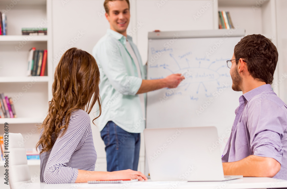 Fototapeta premium Young successful team working