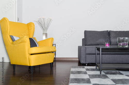 Armchair and Graceful Modern Gray Sofa Couch
