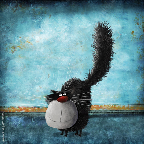 Fluffy Cat On Background Painted Old Wall