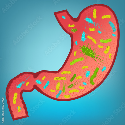 Vector Bacteria Flora