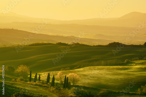 Wavy fields in Tuscany at sunrise, Italy. Natural outdoor seasonal spring background.