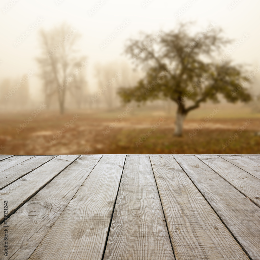 Wooden perspective floor with planks on blurred natural autumn 